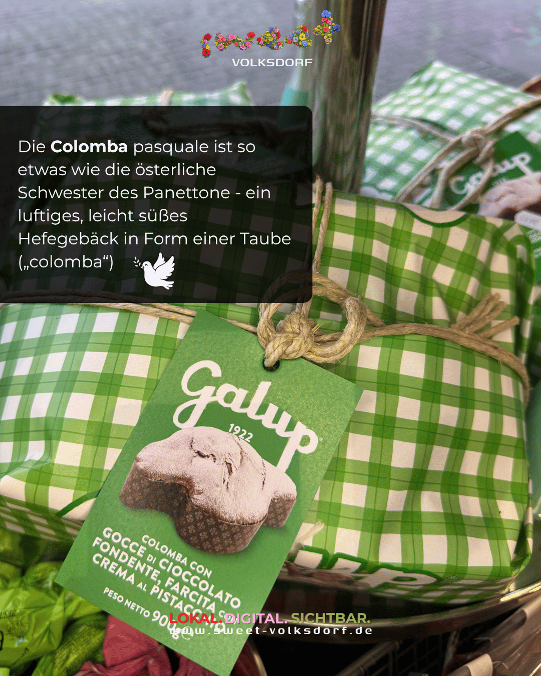 Colomba
