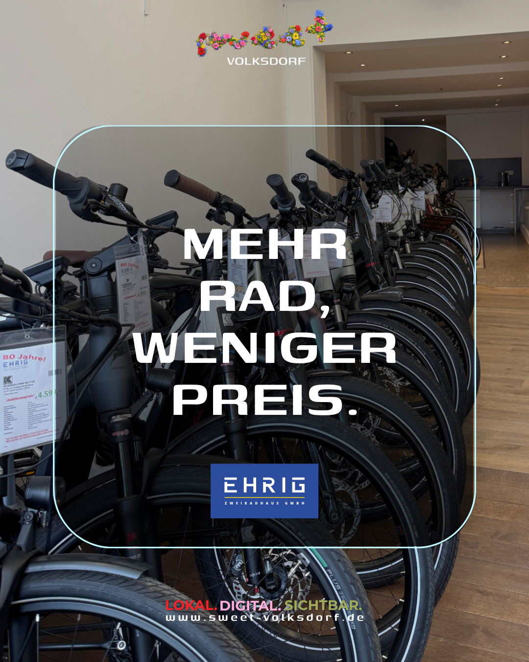 Second Hand E-Bike Ehrig Volksdorf