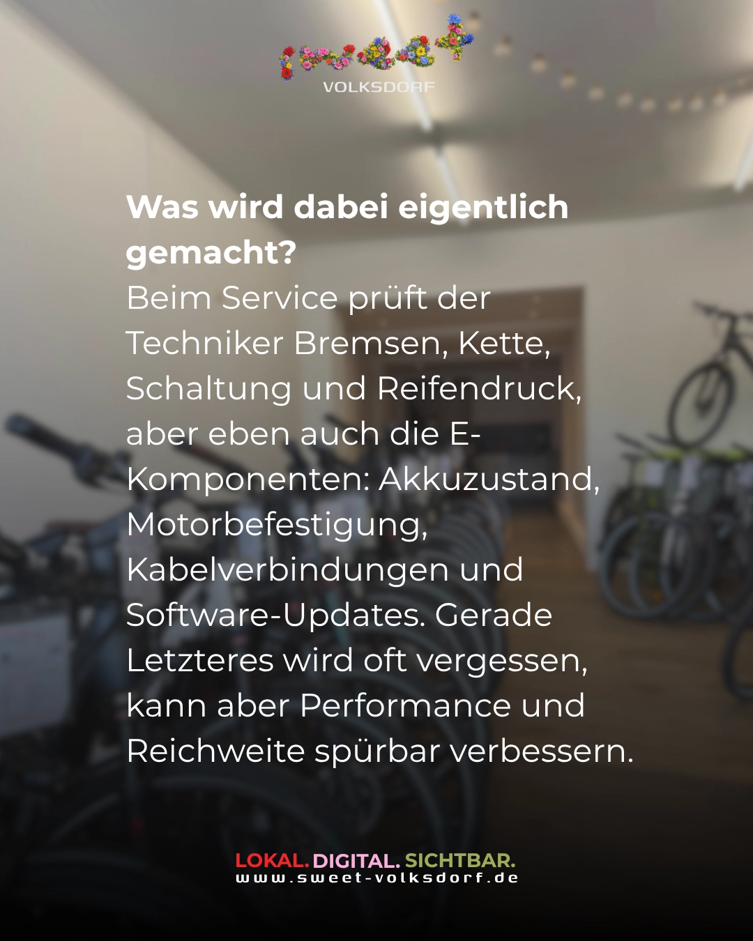 E-Bike-Inspektion