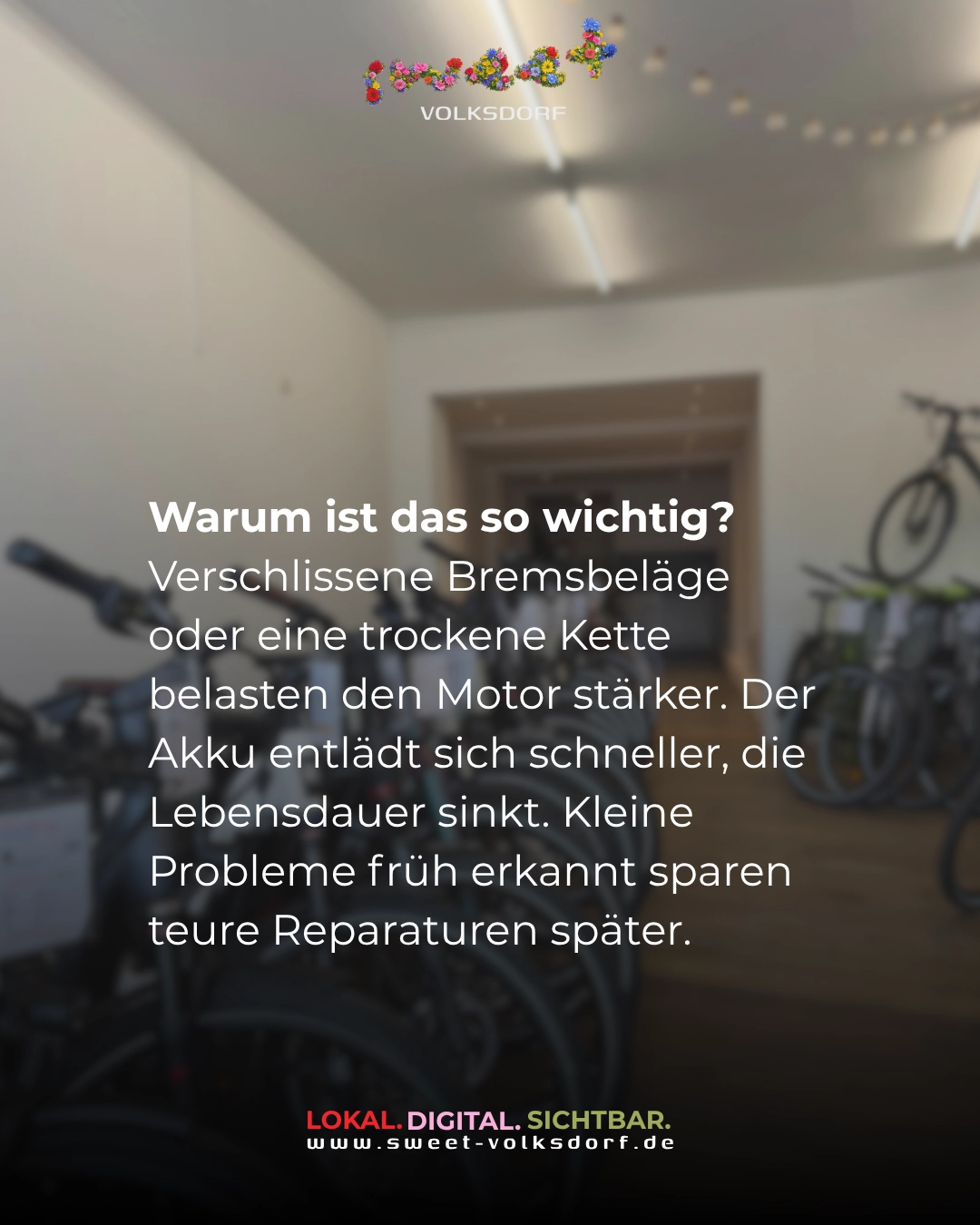 E-Bike-Inspektion
