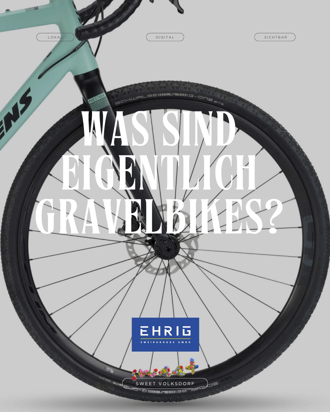 Gravelbikes 2