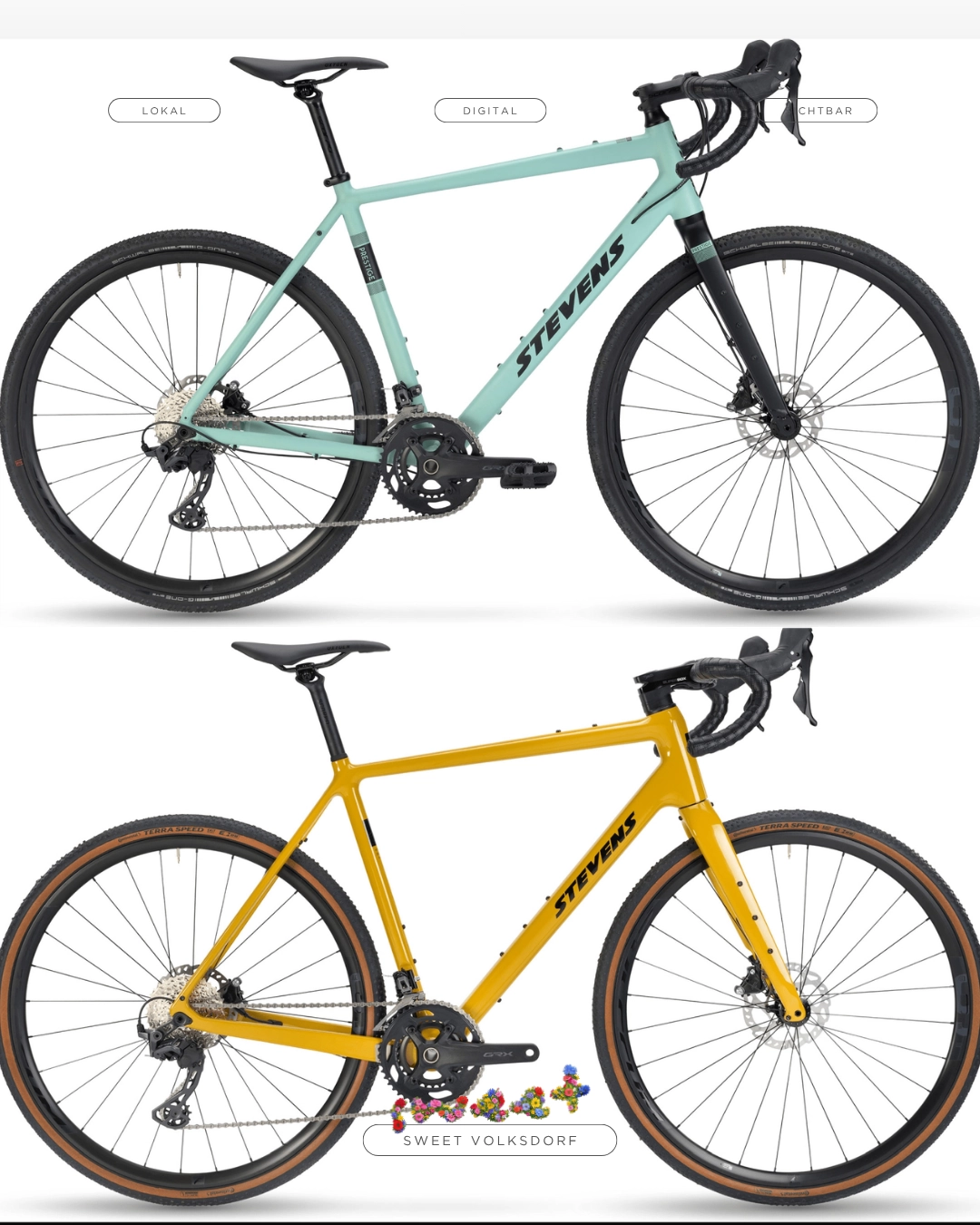 Gravelbikes 6