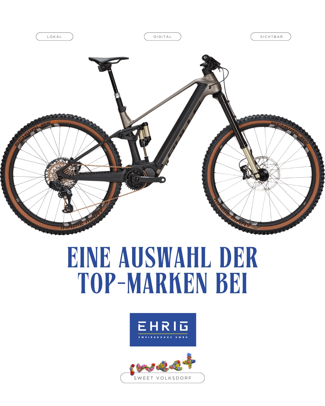Ehrig Top Marken 2